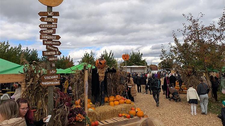 Halloween-Event in Erlangen von "hucke.pack"