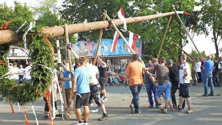 Nach und nach brachten die Ortsburschen fünf Schwalbenpaare an, um den Baum in die Senkrechte zu bringen. Fotos: Manfred Welker