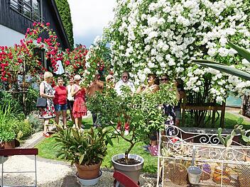 Einmalig die Ramblerrose im Garten der Familie Schreiner Foto: Prei&szlig;inger