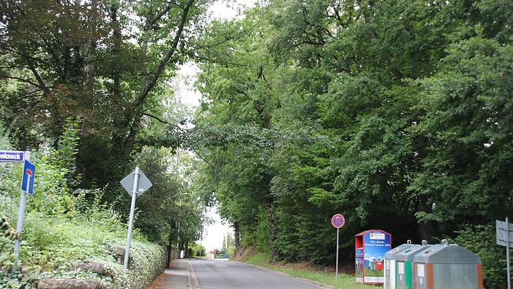 Eichenallee am HeidenknockFoto: Katrin Geyer