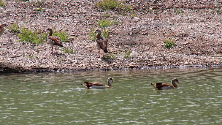 Foto: Sebastian Schanz