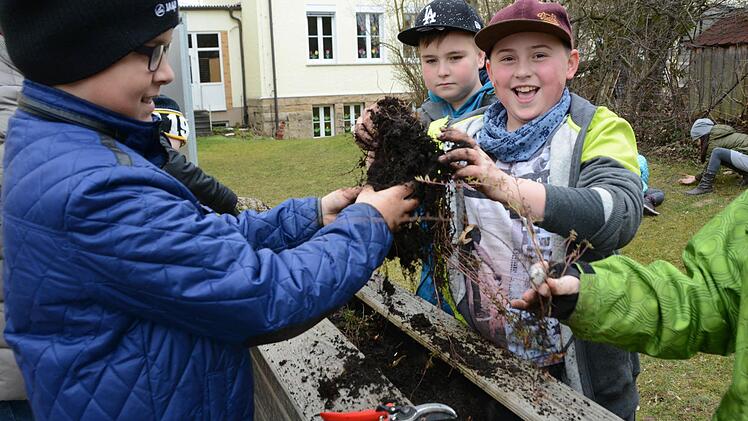 Erster Arbeitseinsatz im Melkendorfer Schulgarten: Die Grundschüler sind mit vollem Einsatz dabei! Foto: Dagmar Besand