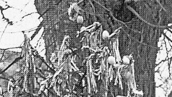 Der Osterbrunnen in Engelhardsberg: 1956 (links) und heute Fotos: Heimatverein; Reinhard L&ouml;wisch