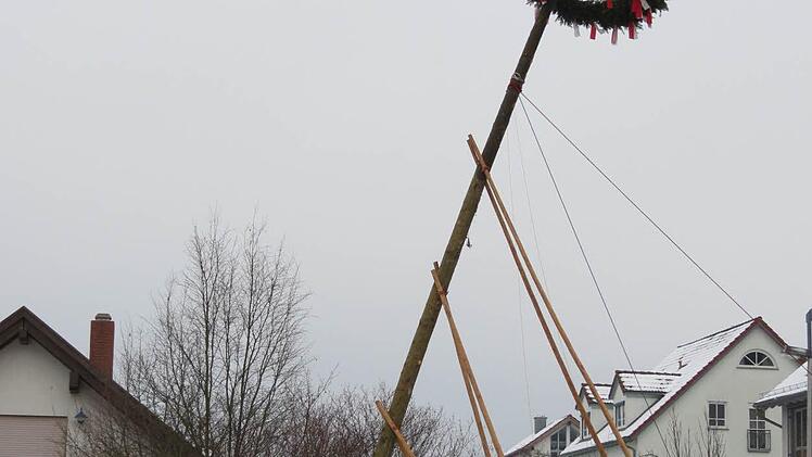 Ein Tross aus mehreren Traktoren brachte die "Bürgermeister"-Bäume an Ort und Stelle. Foto: Doris Bauer