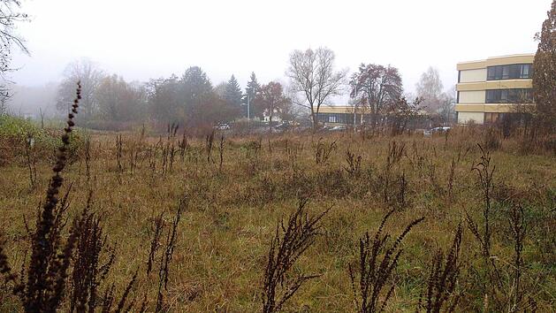 Auf diesen Garten- und Wiesengrundst&uuml;cken sollen Wohnh&auml;user gebaut werden. Einige Grundst&uuml;ckseigent&uuml;mer und Nachbarn sind strikt gegen einen Bebauungsplan. Foto: Christoph Winter