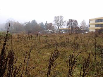 Auf diesen Garten- und Wiesengrundstücken sollen Wohnhäuser gebaut werden. Einige Grundstückseigentümer und Nachbarn sind strikt gegen einen Bebauungsplan. Foto: Christoph Winter