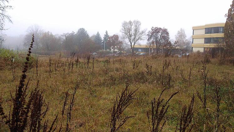 Auf diesen Garten- und Wiesengrundstücken sollen Wohnhäuser gebaut werden. Einige Grundstückseigentümer und Nachbarn sind strikt gegen einen Bebauungsplan. Foto: Christoph Winter