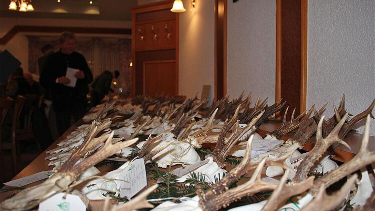 Mehr als 500 Gehörne waren auf der Trophäenschau der BJV-Kreisgruppe Hammelburg ausgestellt.