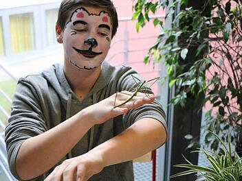 Einfach tierisch: Auf Tuchf&uuml;hlung mit einer Stabheuschrecke.