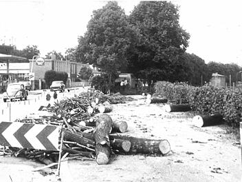 1969 wurden in der Bamberger Straße viele Bäume gefällt, um die Fahrbahn verbreitern zu können.Foto: Tageblatt-Archiv/Griebel