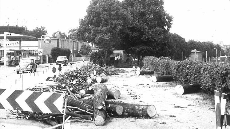 1969 wurden in der Bamberger Straße viele Bäume gefällt, um die Fahrbahn verbreitern zu können.Foto: Tageblatt-Archiv/Griebel
