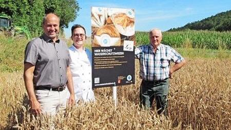 Schlüsselfelds Bürgermeister Johannes Krapp (von links), Bäcker Maximilian Ley und Landwirt Hans Neuner in einem Weizenfeld, das weniger gedüngt wird  Foto: privat