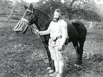 Ein Soldat und sein Pferd mit Gasmaske im Jahr 1918 Fotos: Matthes & Seitz