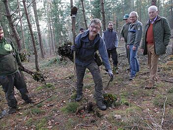 Junge Buchenpflanzen werden im Wald von Hannfried Graf von Bentzel (r.) eingesetzt. Die Förster Matthias Jessen (2. v. r.) und Matthias Koch (4. v. r.) begleiten die Aktion. Foto:   Mathias Erlwein