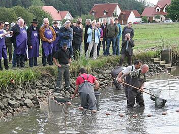Unter  den Augen der gespannten Zuschauer   fangen  die Fischer   Karpfen an den Stiebarlimbacher Weihern. Foto: Erlwein