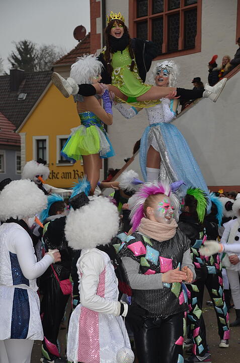 Landkreisfaschingszug 2015