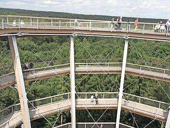 Vor dem Film kann man sich &uuml;ber die Wipfel schwingen. Foto: Archiv