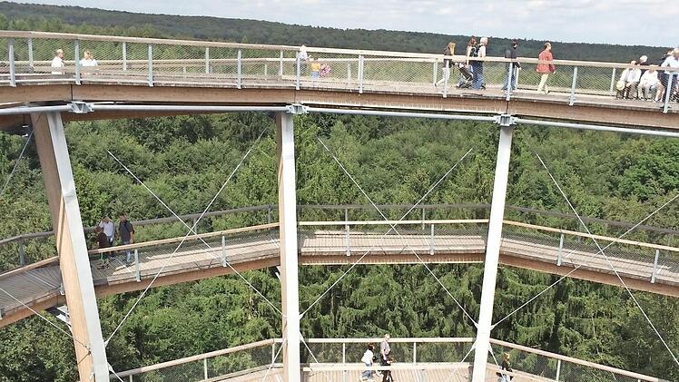 Vor dem Film kann man sich &uuml;ber die Wipfel schwingen. Foto: Archiv