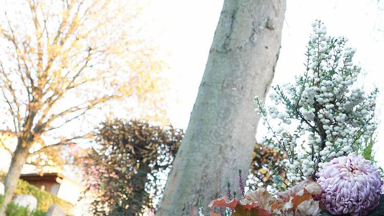 Ein Urnenfeld unter einem Baum