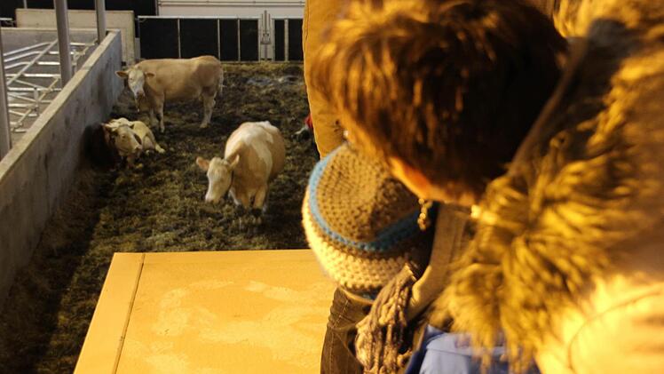 Zu Gast im neuen Stall in Effelter. Foto: Marco Meißner