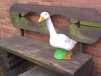 Seit Mittwoch sitzt nur noch eine Gans vor dem Gasthof Raab in Neukirchen - ihre Freundin ist gestohlen worden. Foto: privat