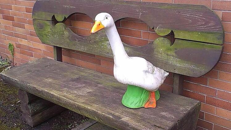 Seit Mittwoch sitzt nur noch eine Gans vor dem Gasthof Raab in Neukirchen - ihre Freundin ist gestohlen worden. Foto: privat