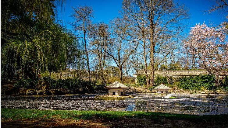Der Ringpark ist die gr&ouml;&szlig;te zusammenh&auml;ngende Parkanlage W&uuml;rzburgs und umschlie&szlig;t die Altstadt halbkreisf&ouml;rmig von der Friedensbr&uuml;cke bis zur Ludwigsbr&uuml;cke.