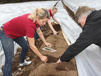 Edelmar Kupfer, seine Schwiegertochter Nadine Heilmann und Tochter Kathrin Güthlein suchen vergebens am Acker am Ortsrand von Hausen nach den ersten Spargelstangen.Foto: Erlwein