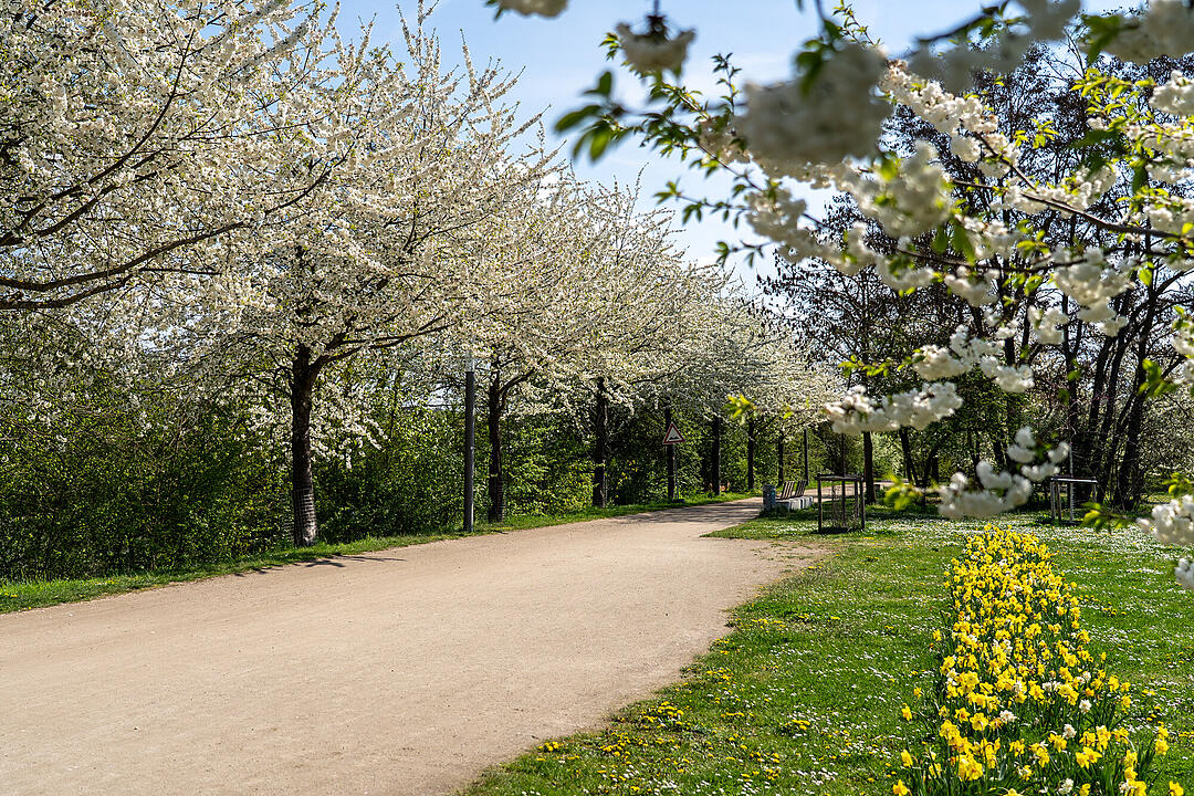 Wundersch&ouml;ne Naturfotos aus Bamberg.