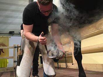 Ein neues Hufeisen wird angepasst.  Fotos: Bastian Reusch
