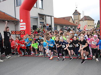 &Uuml;ber 1200 L&auml;ufer gehen in Baiersdorf an den Start