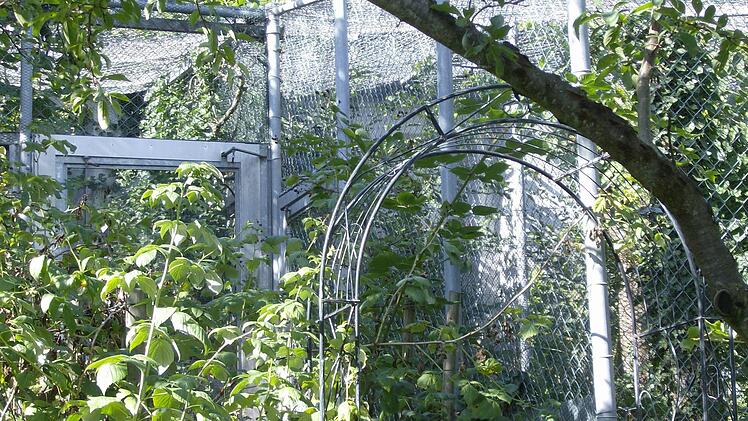Im Garten der Familie Trautner in Gräfenberg. Foto: Petra Malbrich
