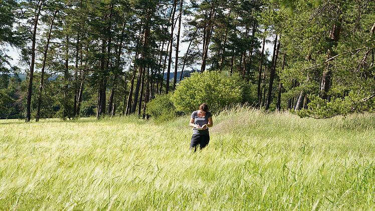 Die Münchner Doktorandin Marion Lang dokumentiert Ackerwildpflanzen bei Berndorf.Adriane Lochner