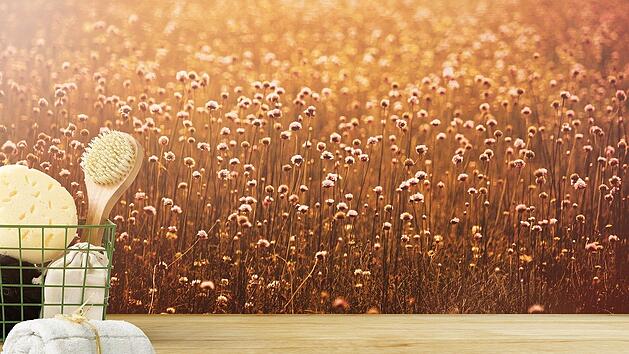 Trockenb&uuml;rsten pflegen die Haut und regen den Kreislauf an!