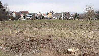 Foto: Hofbauer