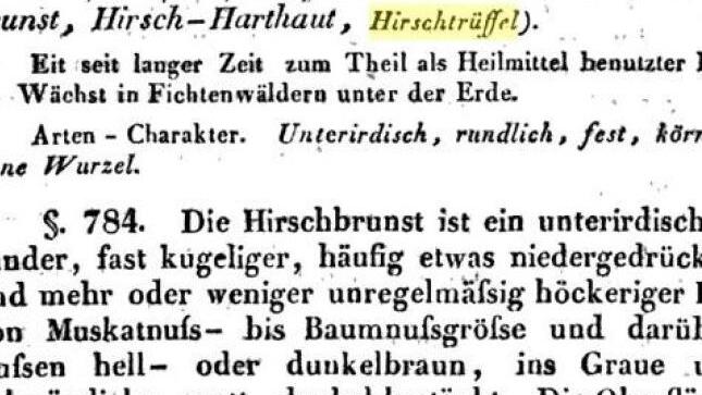 Aus Geigers Fachbuch von 1829
