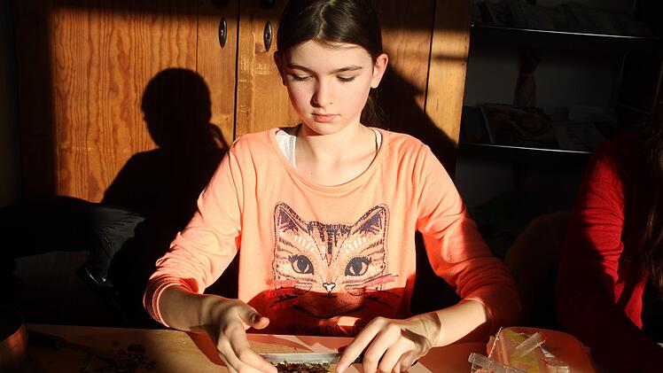 Die Kürbiskerne müssen noch gehackt werden. Foto: Gerda Völk