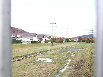 Die Flutmulde wird im Zuge der Hochwasserfreilegung komplett umgestaltet. Der Damm an der B289 wird abgetragen, zum Ängerlein hin werden mehrere Meter hohe Spundwände eingebracht. Fotos: Rinklef/Nützel