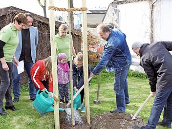 Landrat Oswald Marr und der Vorsitzendes des Gartenbaukreisverbandes Fritz Pohl setzten mit einigen Kindern den Kugelahorn ein. Foto: Wunder