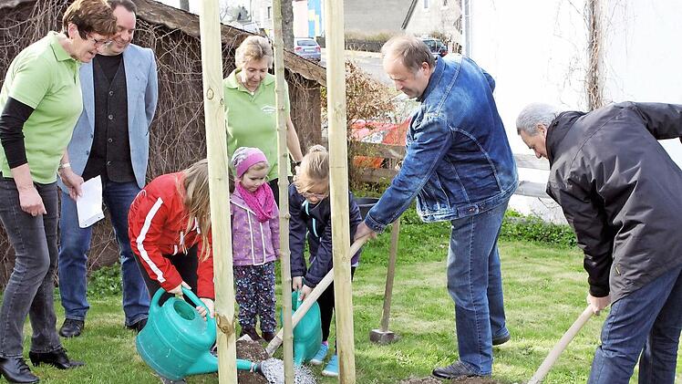 Landrat Oswald Marr und der Vorsitzendes des Gartenbaukreisverbandes Fritz Pohl setzten mit einigen Kindern den Kugelahorn ein. Foto: Wunder