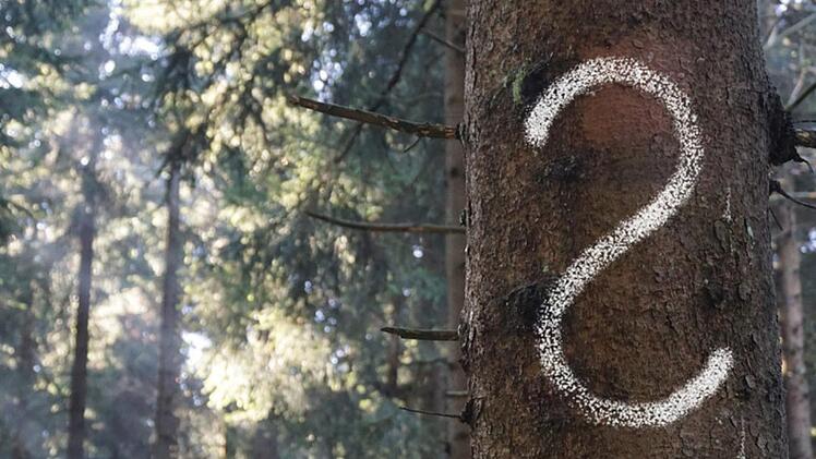 Wer ein Stück Wald erbt, für den tun sich viele Fragen auf. Antworten darauf gab es bei einer gemeinsamen Informationsveranstaltung der Waldbesitzervereinigung Lichtenfels-Staffelstein und der Bayerischen Forstverwaltung.Forstverwaltung Thüringen
