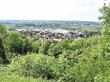 Im Bereich "schöne Aussicht" am Schlossberg in Königsberg werden vom Naturpark Haßberge in den kommenden Jahren für die Stadt kostenlose Landschaftsschutzpflegemaßnahmen ausgeführt.  Foto: sn