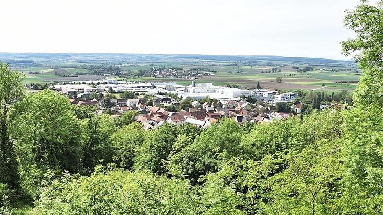 Im Bereich "schöne Aussicht" am Schlossberg in Königsberg werden vom Naturpark Haßberge in den kommenden Jahren für die Stadt kostenlose Landschaftsschutzpflegemaßnahmen ausgeführt.  Foto: sn