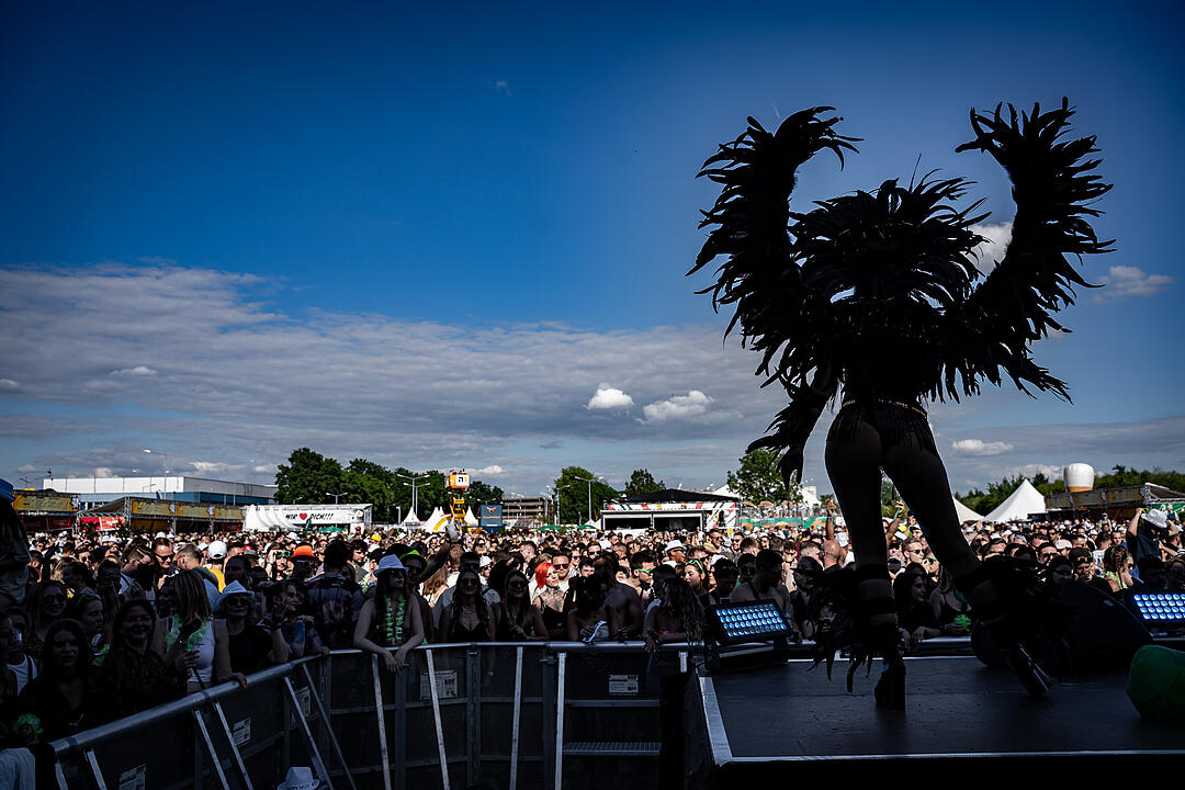 Garlic Land Festival 2022 in Nürnberg: Schrill, verrückt und extravagant.