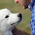 Dreister Diebstahl im Tierheim Nürnberg: An den Täter richten die Tierschützer einen Appell. Symbolfoto: Sheri Hooley/unsplash.com