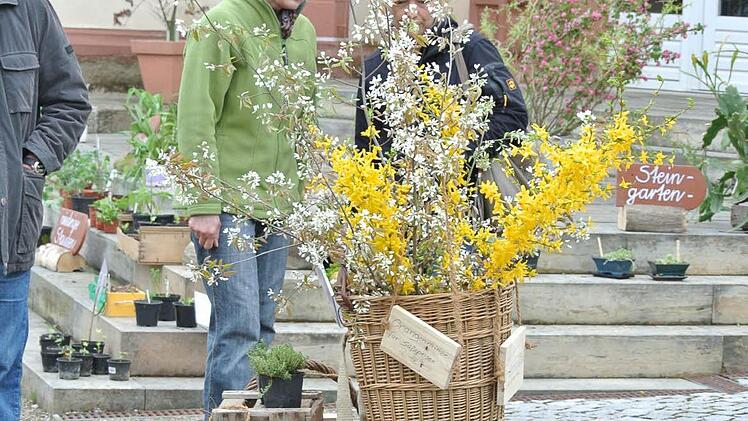 Der Stand des Obst- und Gartenbauvereins Rügheim selbst war gut bestückt und hübsch geschmückt.