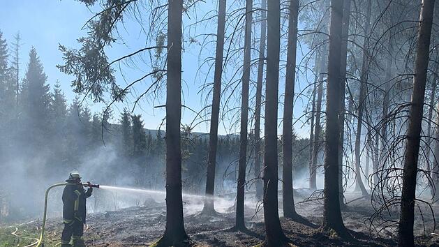 Die Feuerwehrleute hatten alle Hände voll zu tun, einen Waldbrand zu verhindern. Foto: Freiwillige Feuerwehr Steinbach am Wald