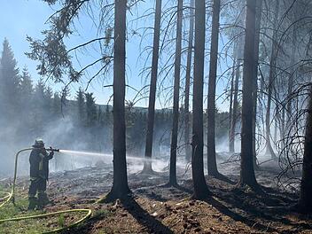 Die Feuerwehrleute hatten alle Hände voll zu tun, einen Waldbrand zu verhindern. Foto: Freiwillige Feuerwehr Steinbach am Wald