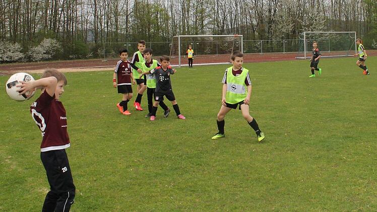 Die U10 Junioren des TV Ebern haben sich mit ihren Trainern fleißig auf den Franken Cup in Rödental vorbereitet. Foto: Janina Reuter
