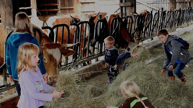 Die Kinder hatten ihre Freude an den Tieren.